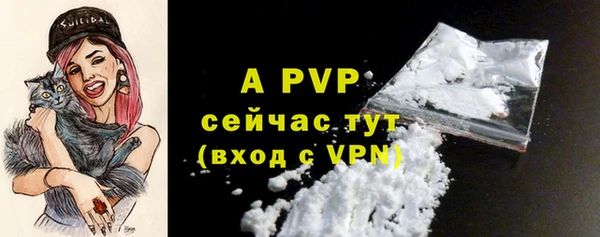ГАЛЛЮЦИНОГЕННЫЕ ГРИБЫ Киренск
