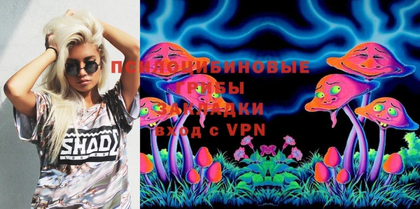 ГАЛЛЮЦИНОГЕННЫЕ ГРИБЫ Киренск