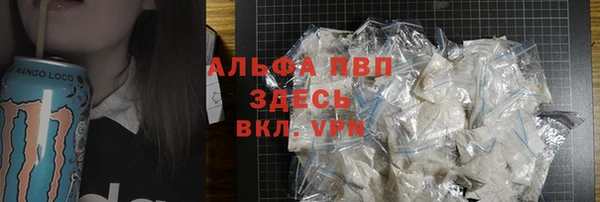 spice Кинешма