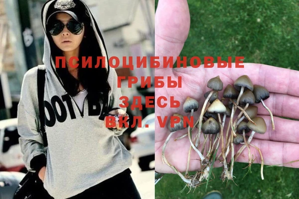 ГАЛЛЮЦИНОГЕННЫЕ ГРИБЫ Киренск
