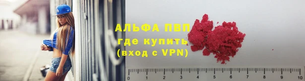 ГАЛЛЮЦИНОГЕННЫЕ ГРИБЫ Киренск