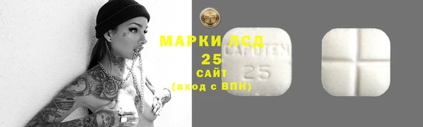 ГАЛЛЮЦИНОГЕННЫЕ ГРИБЫ Киренск