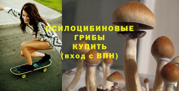 ГАЛЛЮЦИНОГЕННЫЕ ГРИБЫ Киренск