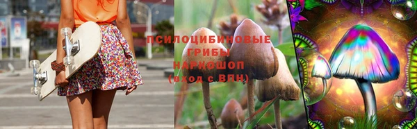 ГАЛЛЮЦИНОГЕННЫЕ ГРИБЫ Киренск