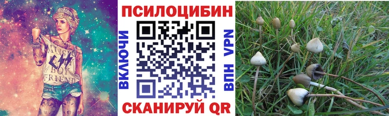 Купить закладки  Зуевка  Псилоцибиновые грибы MAGIC MUSHROOMS 
