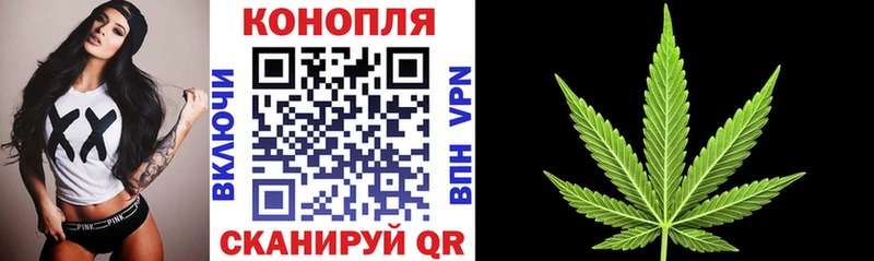 Купить закладки  Зуевка  Конопля MAZAR 